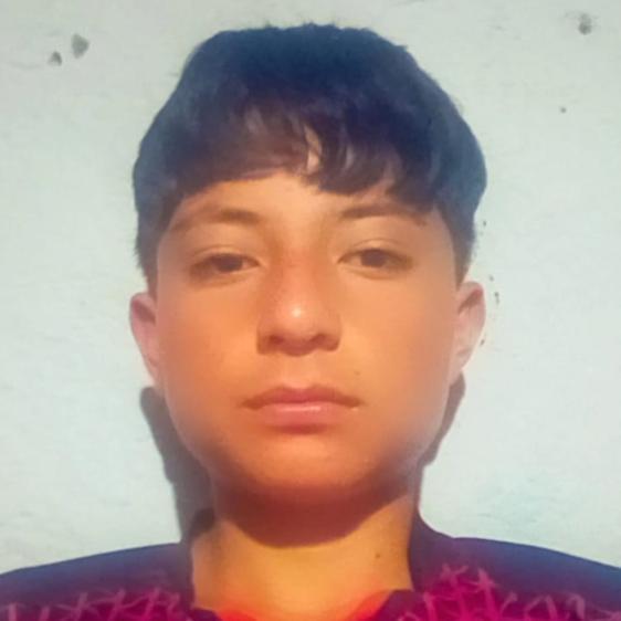 User Image