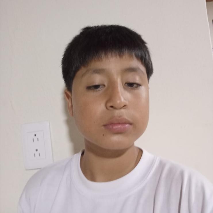 User Image