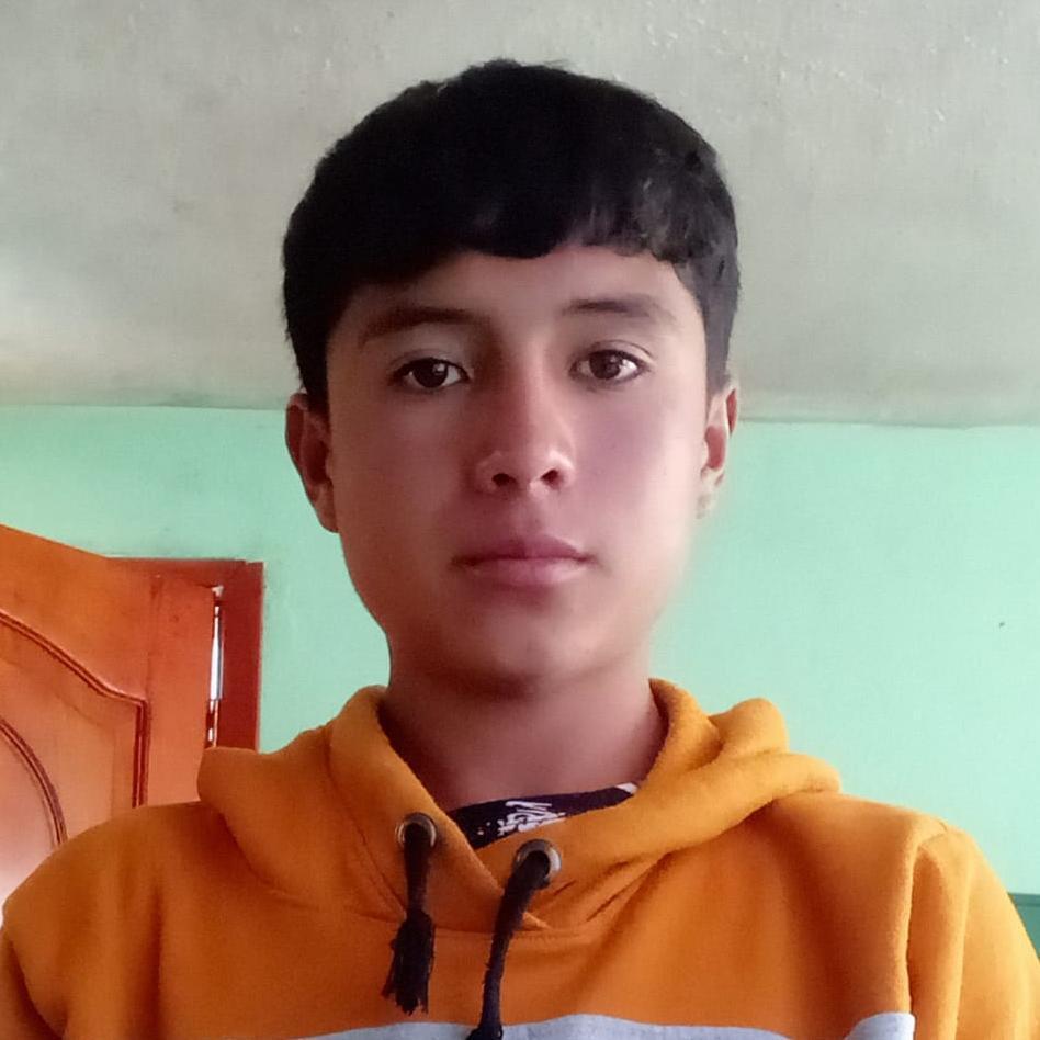 User Image