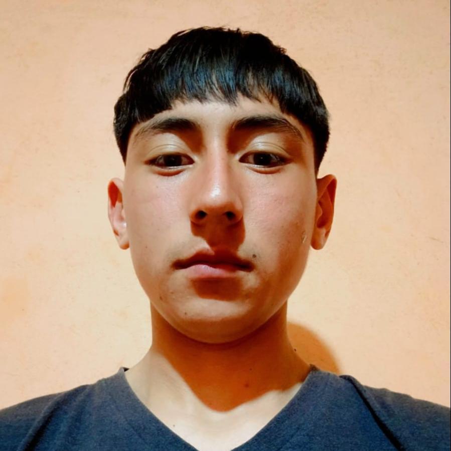 User Image