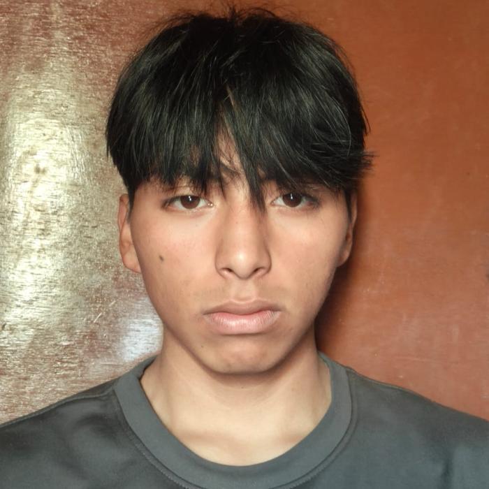 User Image