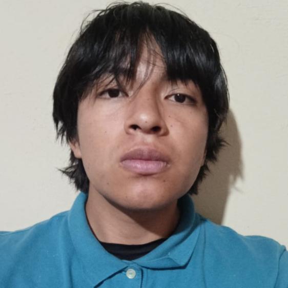 User Image